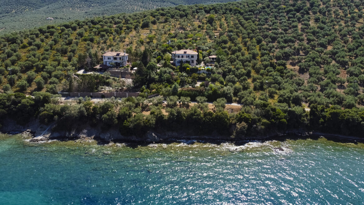 Nies Magnesia: Structured hospitality services
